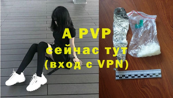 a pvp Горняк
