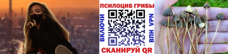 Псилоцибиновые грибы мухоморы  Купить  Новоаннинский 